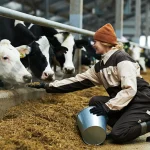 Werk jij in de agrosector? Verzeker je voordelig