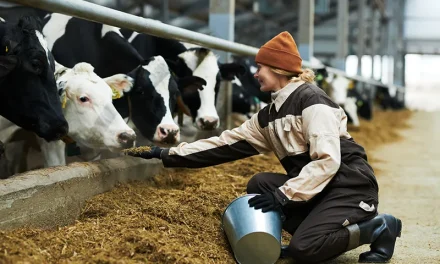 Agrarische zorgverzekering 2025: dit moet je weten