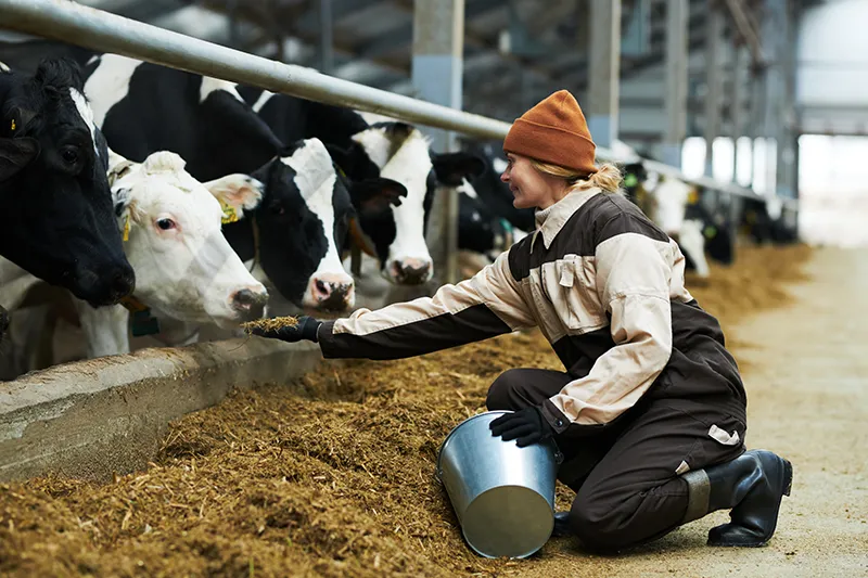 Agrarische zorgverzekering 2025: dit moet je weten