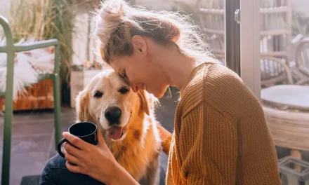 VGZbewuzt – Zorgverzekeringen zonder poespas