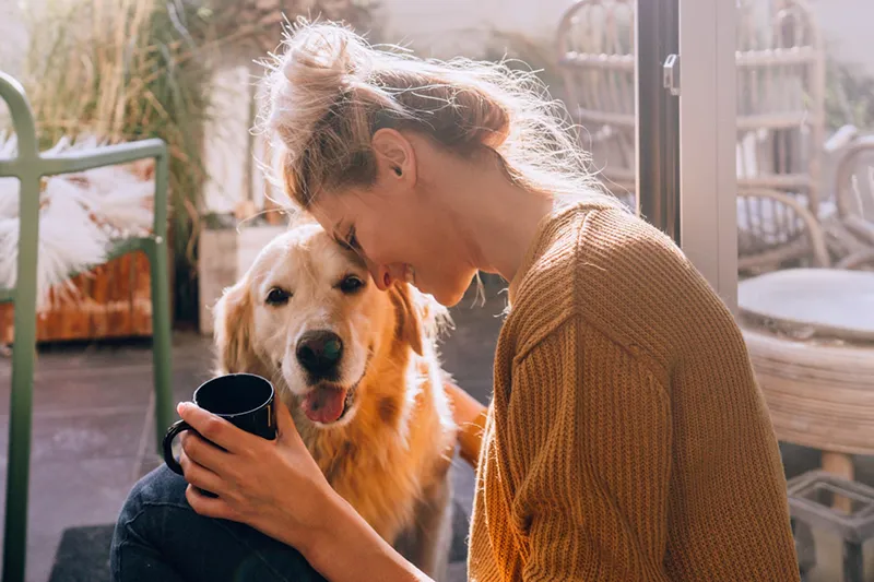 VGZbewuzt – Zorgverzekeringen zonder poespas